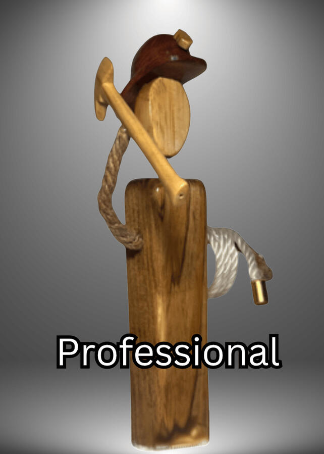 Professinal